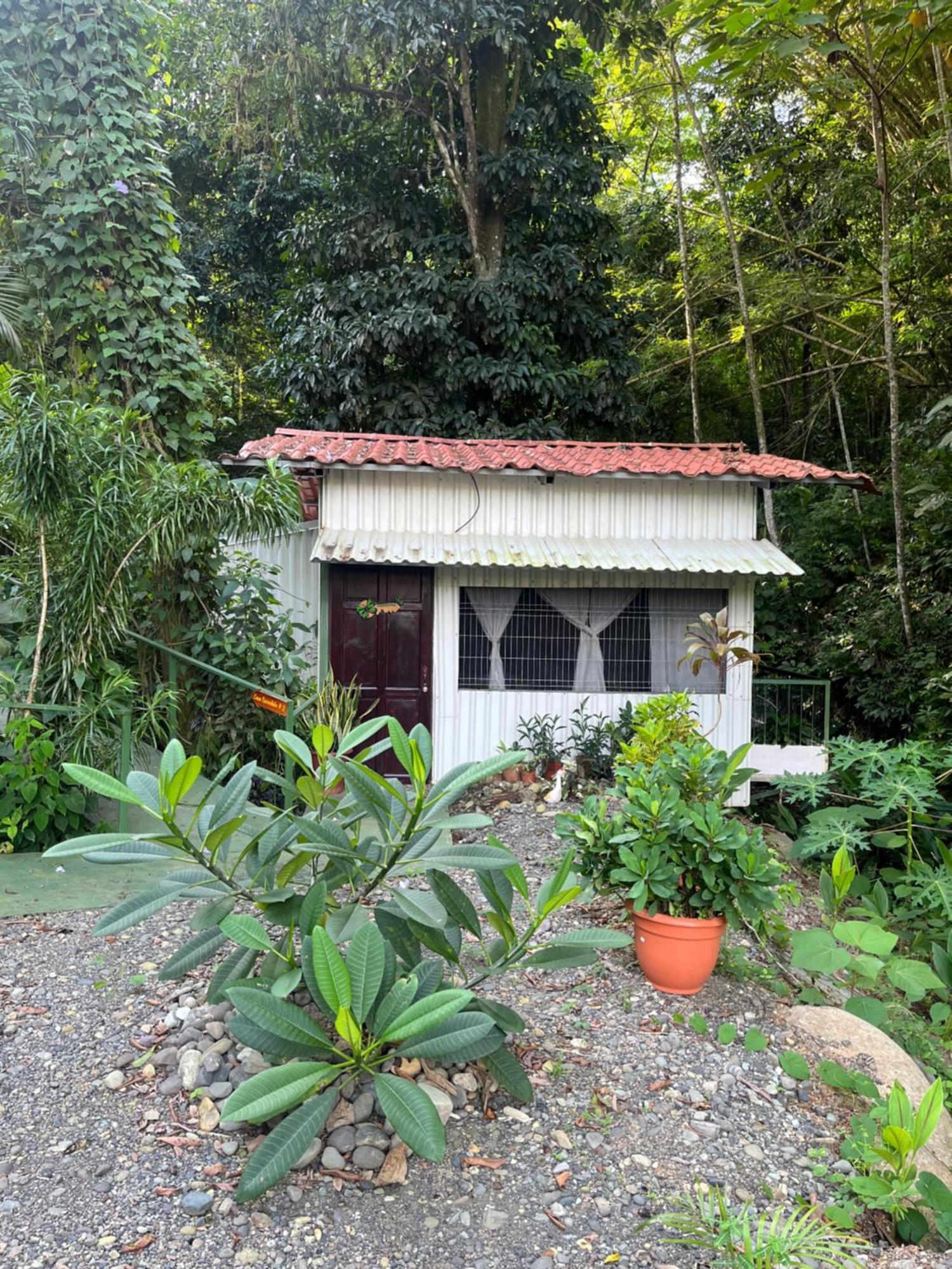 Casa Escondida Apartments Vườn quốc gia Vườn quốc gia Manuel Antonio Ngoại thất bức ảnh